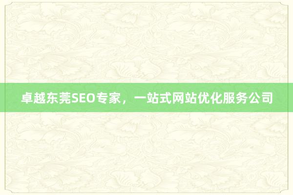 卓越东莞SEO专家，一站式网站优化服务公司